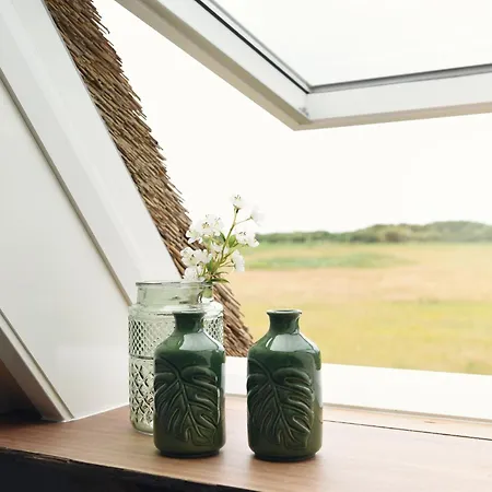 In Authentic Rural Farmhouse Callantsoog
