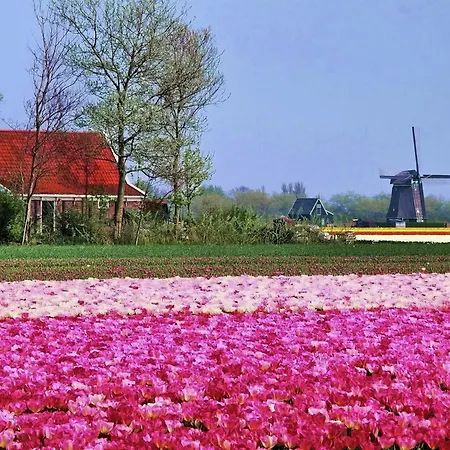 Holiday home In Authentic Rural Farmhouse *